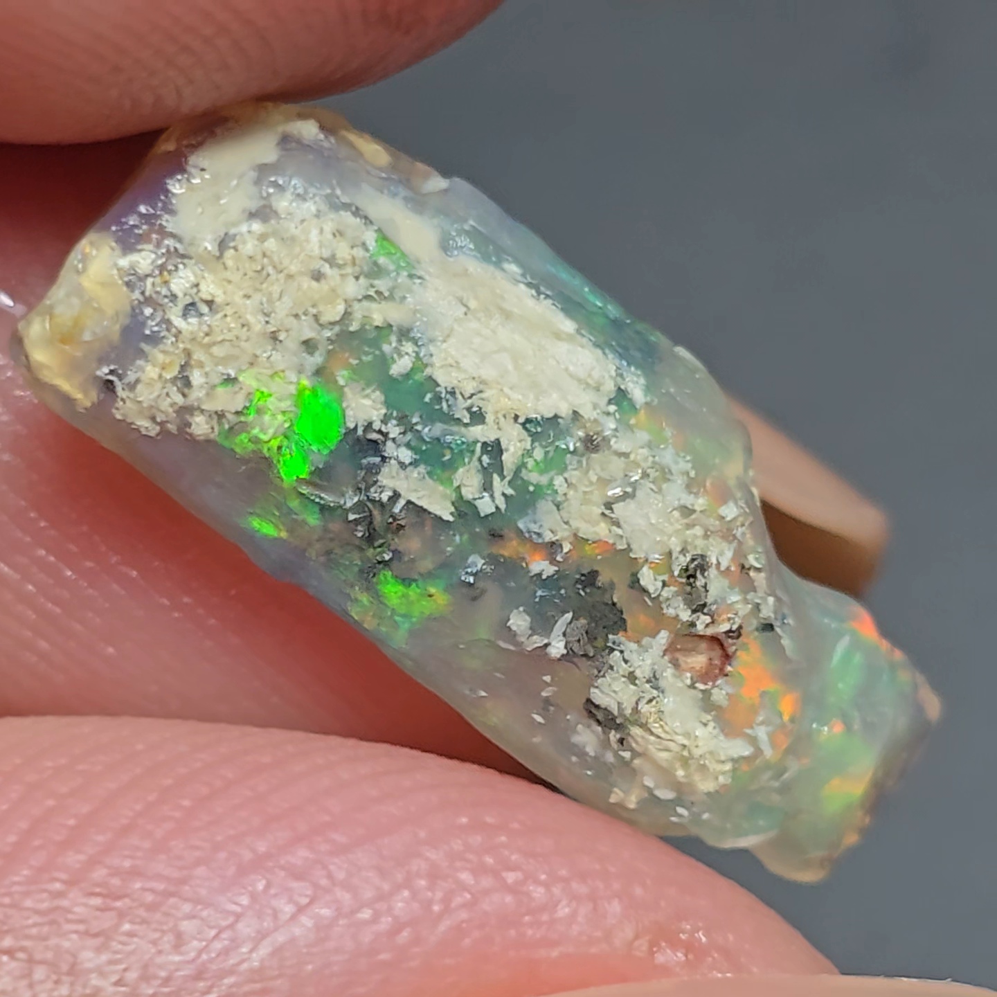 Lightning Ridge Rough 4.3cts Lightning Ridge Wood Fossil Rough – LR Opals